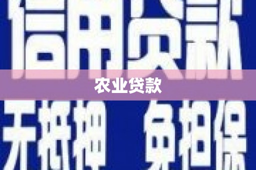 贾汪农业贷款