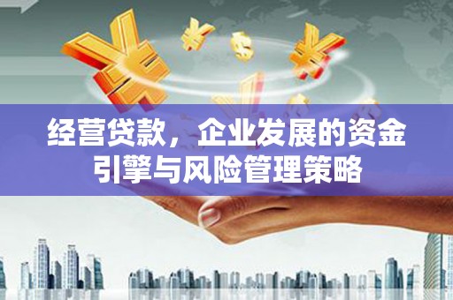 贾汪经营贷款，企业发展的资金引擎与风险管理策略
