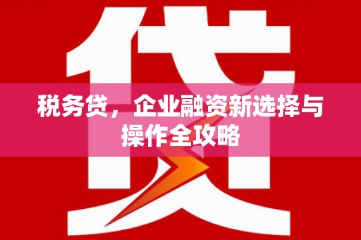 贾汪税务贷，企业融资新选择与操作全攻略