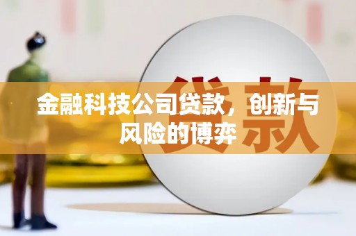 贾汪金融科技公司贷款，创新与风险的博弈