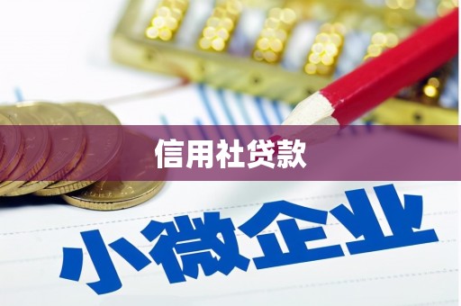 贾汪信用社贷款