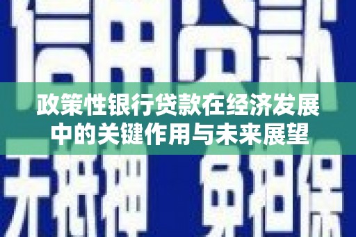 贾汪政策性银行贷款在经济发展中的关键作用与未来展望