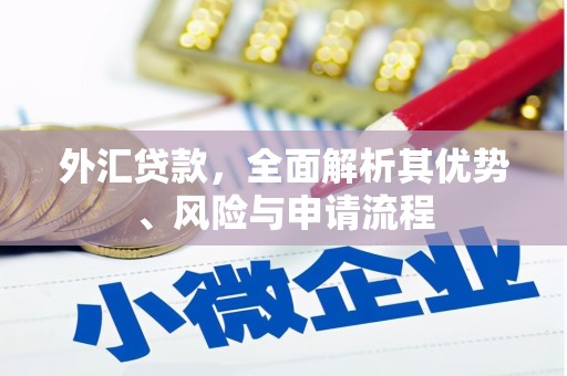 贾汪外汇贷款，全面解析其优势、风险与申请流程