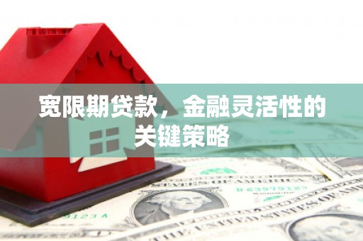贾汪宽限期贷款，金融灵活性的关键策略