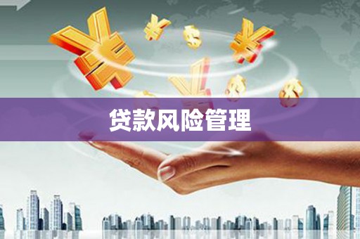贾汪贷款风险管理