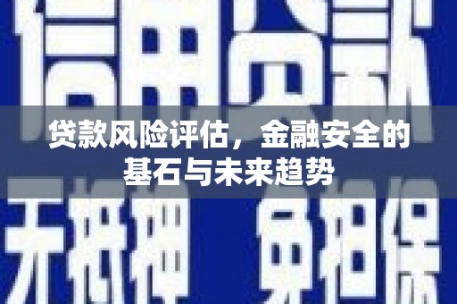 贾汪贷款风险评估，金融安全的基石与未来趋势