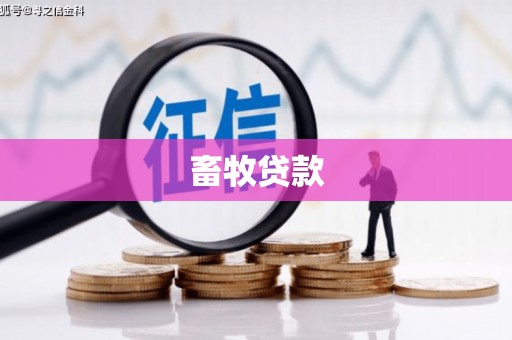 贾汪畜牧贷款