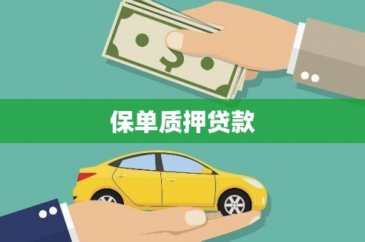 贾汪保单质押贷款