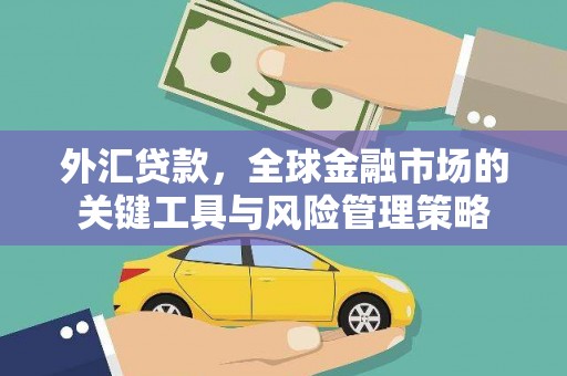 贾汪外汇贷款，全球金融市场的关键工具与风险管理策略