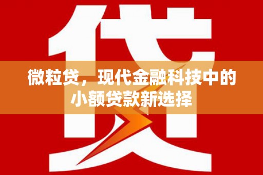 贾汪微粒贷，现代金融科技中的小额贷款新选择