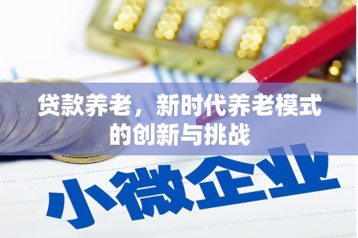 贾汪贷款养老，新时代养老模式的创新与挑战