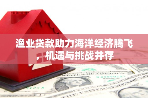 贾汪渔业贷款助力海洋经济腾飞，机遇与挑战并存