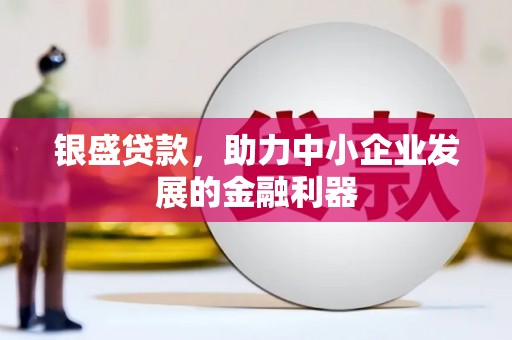 贾汪银盛贷款，助力中小企业发展的金融利器