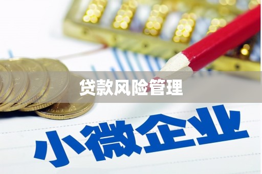 贾汪贷款风险管理