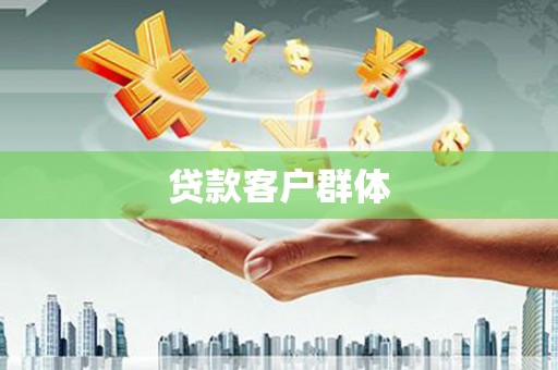 贾汪贷款客户群体