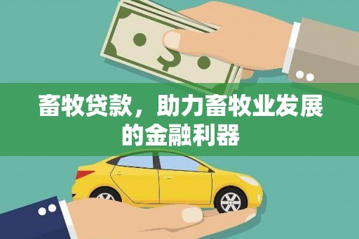 贾汪畜牧贷款，助力畜牧业发展的金融利器