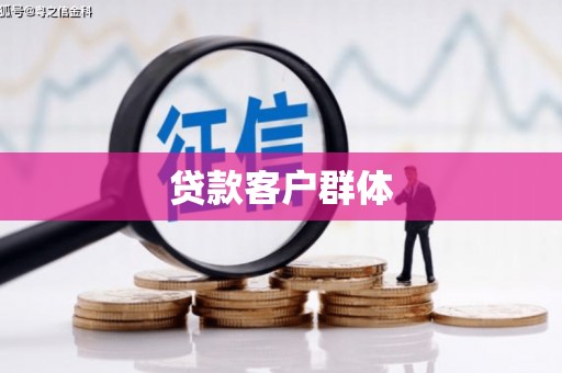 贾汪贷款客户群体