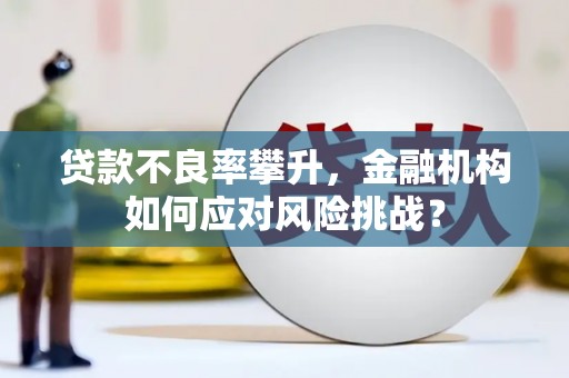 贾汪贷款不良率攀升，金融机构如何应对风险挑战？
