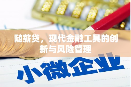 贾汪随薪贷，现代金融工具的创新与风险管理