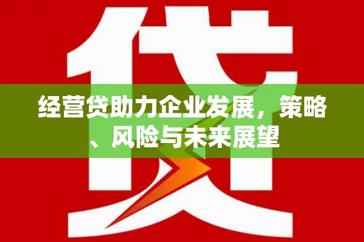 贾汪经营贷助力企业发展，策略、风险与未来展望