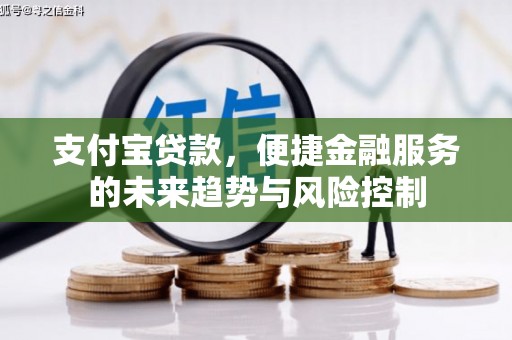 贾汪支付宝贷款，便捷金融服务的未来趋势与风险控制