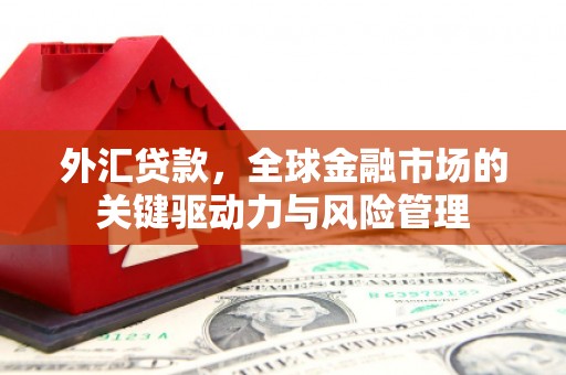 贾汪外汇贷款，全球金融市场的关键驱动力与风险管理