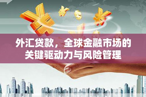 贾汪外汇贷款，全球金融市场的关键驱动力与风险管理
