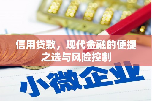 贾汪信用贷款，现代金融的便捷之选与风险控制