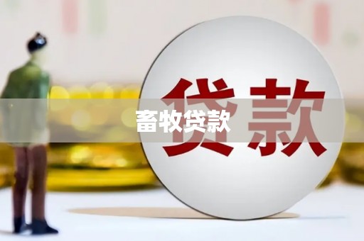 贾汪畜牧贷款