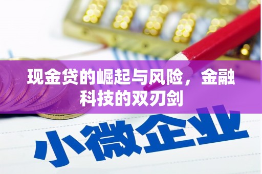 贾汪现金贷的崛起与风险，金融科技的双刃剑
