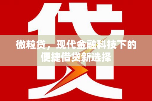 贾汪微粒贷，现代金融科技下的便捷借贷新选择