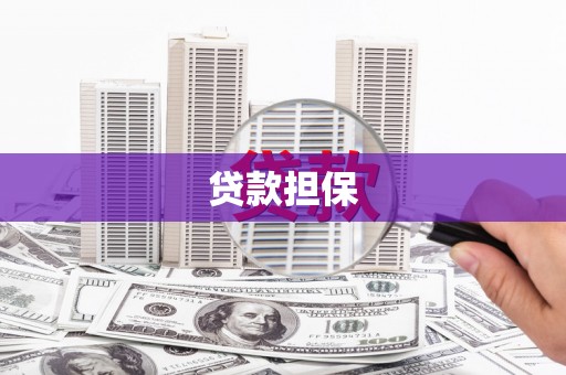 贾汪贷款担保