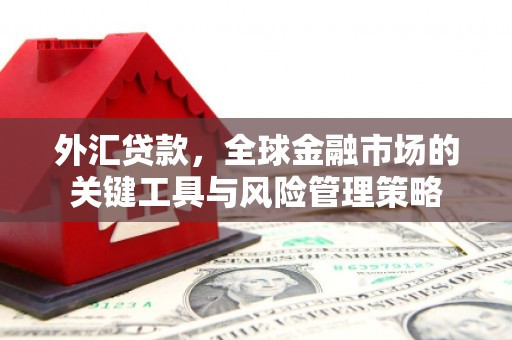 贾汪外汇贷款，全球金融市场的关键工具与风险管理策略
