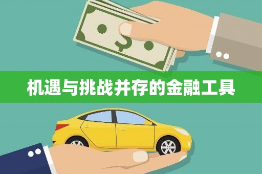 贾汪机遇与挑战并存的金融工具