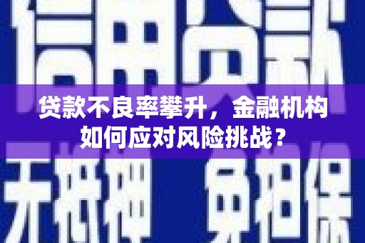 贾汪贷款不良率攀升，金融机构如何应对风险挑战？