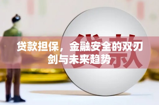 贾汪贷款担保，金融安全的双刃剑与未来趋势