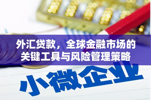 贾汪外汇贷款，全球金融市场的关键工具与风险管理策略