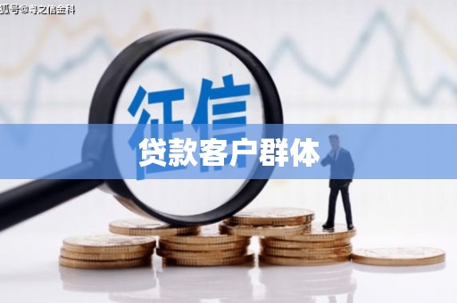 贾汪贷款客户群体