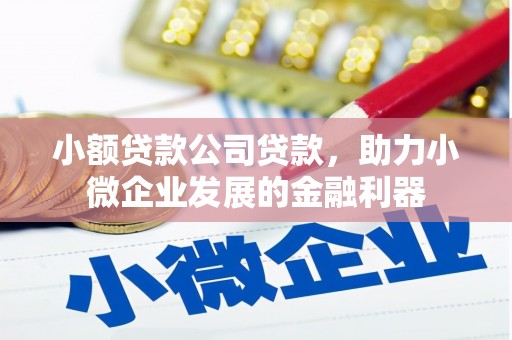 贾汪小额贷款公司贷款，助力小微企业发展的金融利器