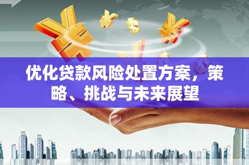贾汪优化贷款风险处置方案，策略、挑战与未来展望