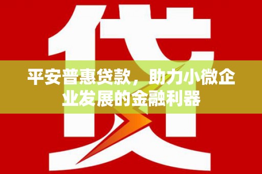 贾汪平安普惠贷款，助力小微企业发展的金融利器