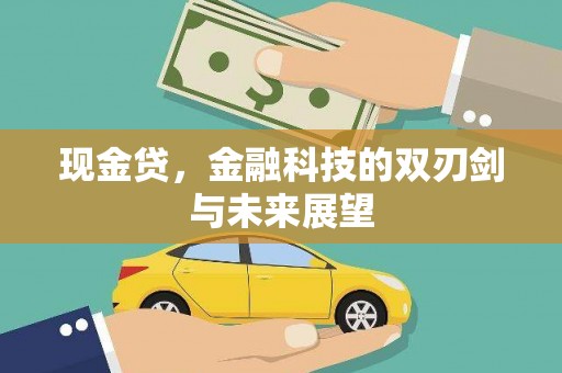 贾汪现金贷，金融科技的双刃剑与未来展望