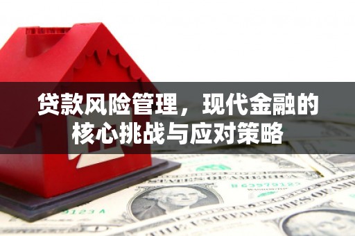贾汪贷款风险管理，现代金融的核心挑战与应对策略