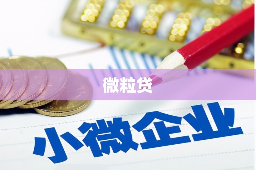 贾汪微粒贷