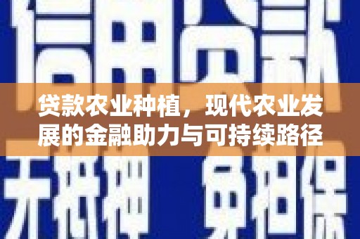 贾汪贷款农业种植，现代农业发展的金融助力与可持续路径