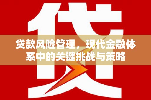 贾汪贷款风险管理，现代金融体系中的关键挑战与策略