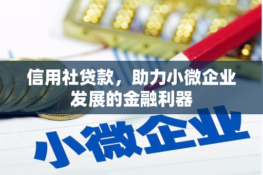 贾汪信用社贷款，助力小微企业发展的金融利器