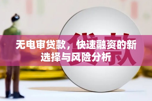 贾汪无电审贷款，快速融资的新选择与风险分析