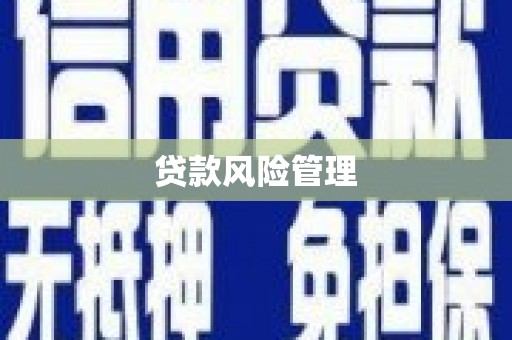 贾汪贷款风险管理
