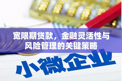 贾汪宽限期贷款，金融灵活性与风险管理的关键策略